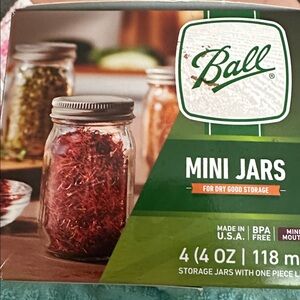 Mini Ball Jars - Set of 4 Jars